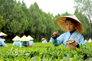 勇士新赛季有15次背靠背 连续4年这么多&连续2年领跑联盟